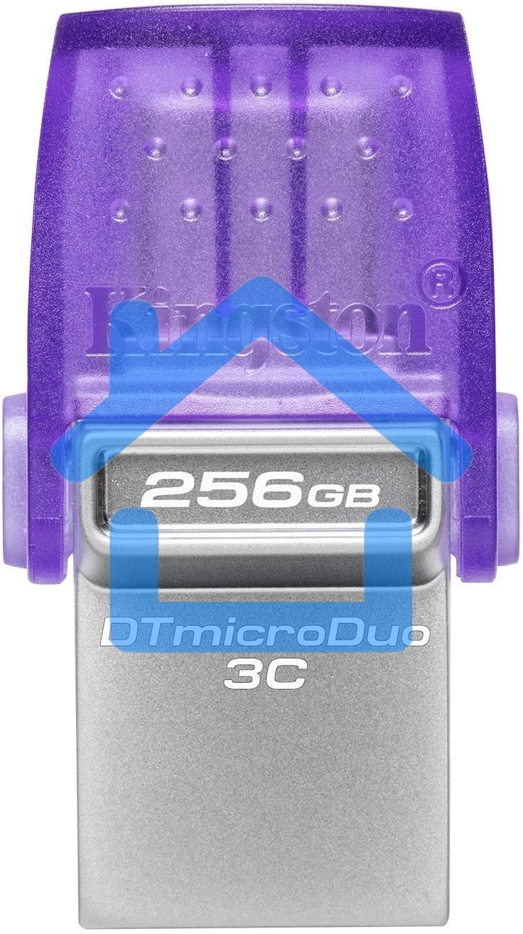 Флешка USB R/W Kingston USB3.2 256Gb DTDUO3CG3/256Gb