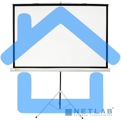 Экран Cactus 127x127см Triscreen CS-PST-127X127 1:1 напольный рулонный белый