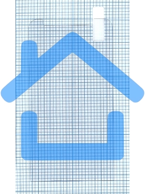 Защитное стекло для Asus ZenFone 2 ZE500CL