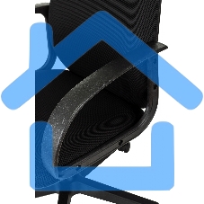 Кресло руководителя Бюрократ CH-808AXSN/TW-11 черный TW-11