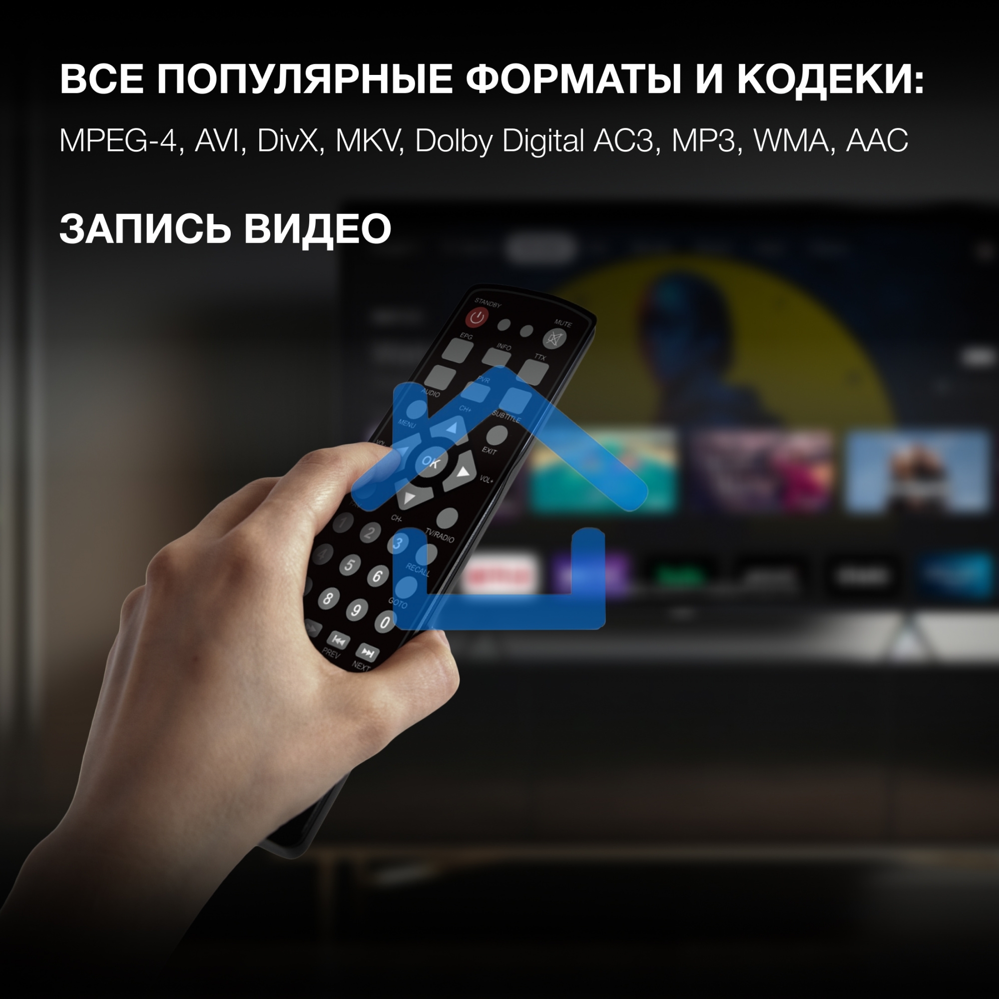 Цифровой TV ресивер HYUNDAI H-DVB240 черный
