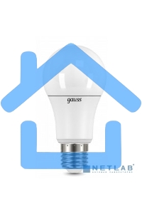 Лампа светодиодная Gauss LD102502212LED A60 globe 12W E27 4100K