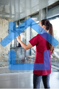 Стеклоочиститель Karcher WVP 10 шир.скреб.:280мм пит.:от аккум. серый/желтый