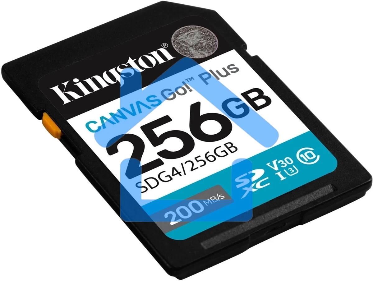Флеш карта SDXC 256Gb Kingston SDG4/256Gb Canvas Go! Plus V30