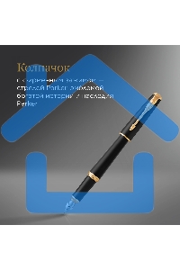 Ручка перьевая Parker Urban Core F309 (CW1931593) Muted Black GT F сталь нержавеющая, подарочная коробка