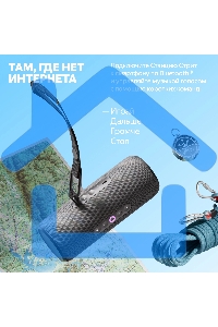 Умная колонка Yandex Стрит Алиса черный 30W 2.0 BT/Wi-Fi 10м 3300mAh (YNDX-00030BLK)