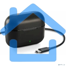 Наушники вкладыши Panasonic RZ-B110WDG-K