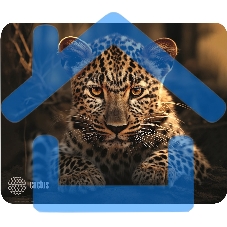 Коврик для мыши Cactus Leopard 250x200x3мм (CS-MP-D06S)