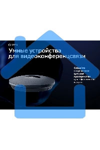 Микрофон Sber SDMIC-001