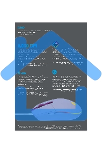 Мышь проводная Logitech G102 LIGHTSYNC фиолетовый, 8000 dpi, USB, кнопки - 6