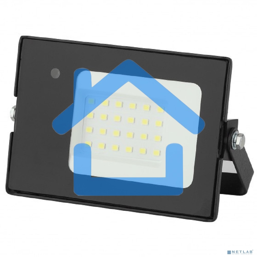 Прожектор светодиодный LPR-041-1-65K-030 30Вт 2100Лм 6500К датчик нерегулир Б0043575 ЭРА