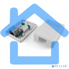 Розетка компьютерная Hyperline SB1-1-8P8C-C5e-SH-WH RJ-45(8P8C), категория 5e, экранированная, одинарная, внешняя, Dual IDC