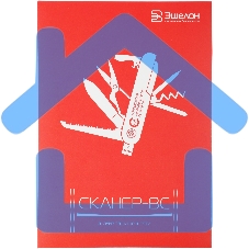 Программное Обеспечение Эшелон Средство анализа защищенности Сканер-ВС лиц. на 4 IP на 1год (SCANER-VS-5-04-F)