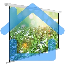 Экран Cactus 200x200см WallExpert CS-PSWE-200x200-WT 1:1 настенно-потолочный рулонный