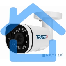Видеокамера IP Trassir TR-D2151IR3 2.8-2.8мм цветная
