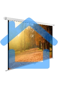 Экран Cactus 125x200см WallExpert CS-PSWE-200x125-WT 16:10 настенно-потолочный рулонный