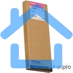 Картридж струйный Epson C13T606B00 пурпурный (220 мл) для Stylus Pro 4800
