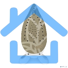 Парогенератор Tefal Pro Express Eco GV9E21E0, зеленый/белый