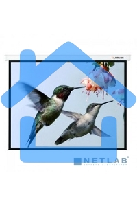 Экран Lumien 191x300см Master Picture LMP-100136 16:10 настенно-потолочный рулонный