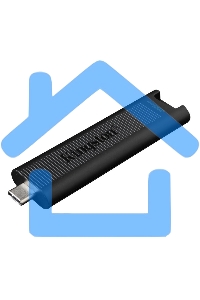 Флешка USB Kingston 256 Gb USB 3.2 Gen 2 DataTraveler Max, Type-C