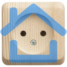 Розетка 1-м ОП Этюд Дача 16А IP20 без заземл. сосна SchE PA16-001D