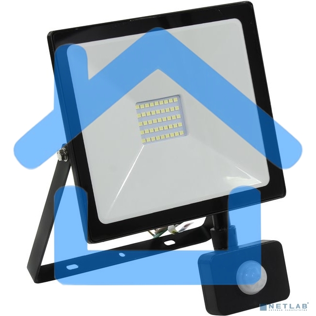 Светодиодный (LED) прожектор FL Sensor Smartbuy-30W/6500K/I65