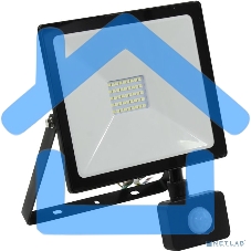 Светодиодный (LED) прожектор FL Sensor Smartbuy-30W/6500K/I65