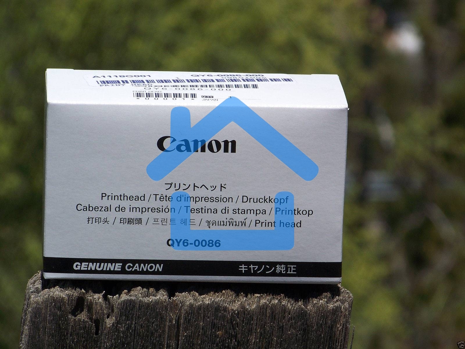 Печатающая головка CANON iP6840/iX6840 (QY6-0086)