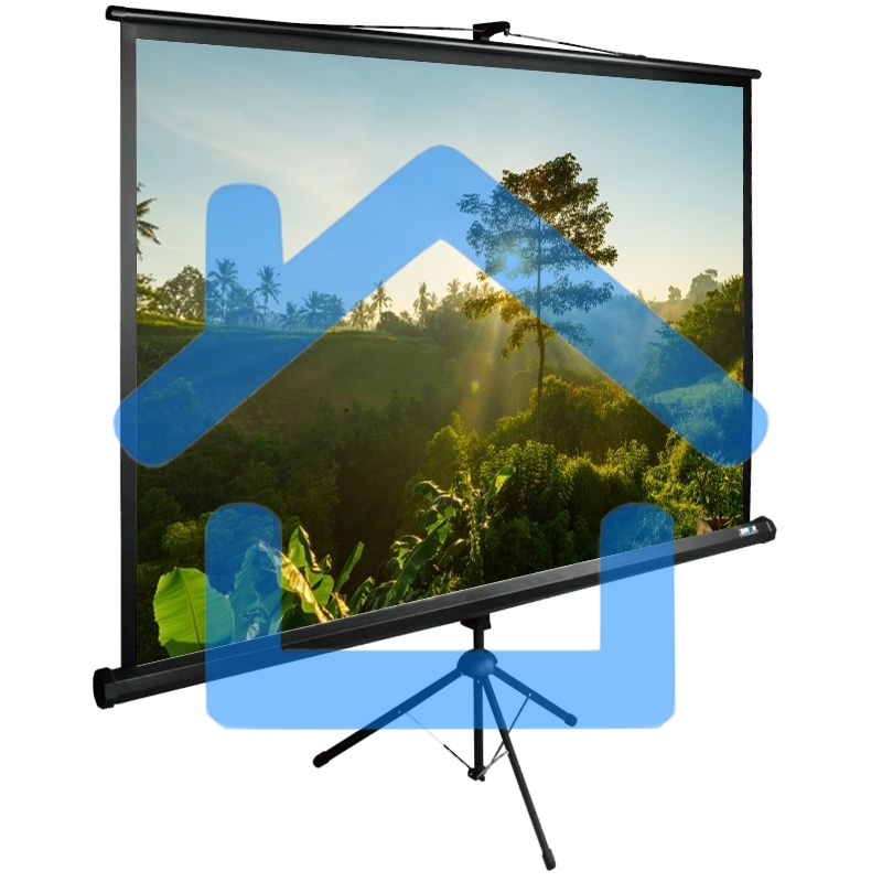 Экран Cactus 200x200см TriExpert CS-PSTE-200х200-BK 1:1 напольный рулонный