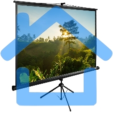 Экран Cactus 200x200см TriExpert CS-PSTE-200х200-BK 1:1 напольный рулонный