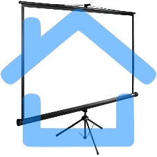 Экран Cactus 200x200см TriExpert CS-PSTE-200х200-BK 1:1 напольный рулонный