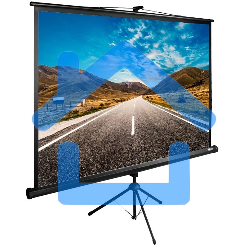 Экран Cactus 160x160см TriExpert CS-PSTE-160x160-BK 1:1 напольный рулонный