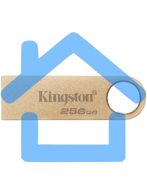 Флешка USB Kingston 256 Gb DataTraveler SE9 DTSE9G3/256 Gb USB 3.0 серебристый