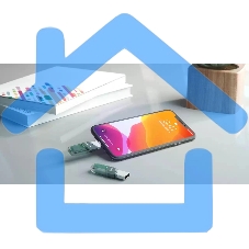 Флешка USB Sandisk 64 Gb iXpand Flip SDIX90N-064G-GN6NN USB3.1 зеленый/серебристый