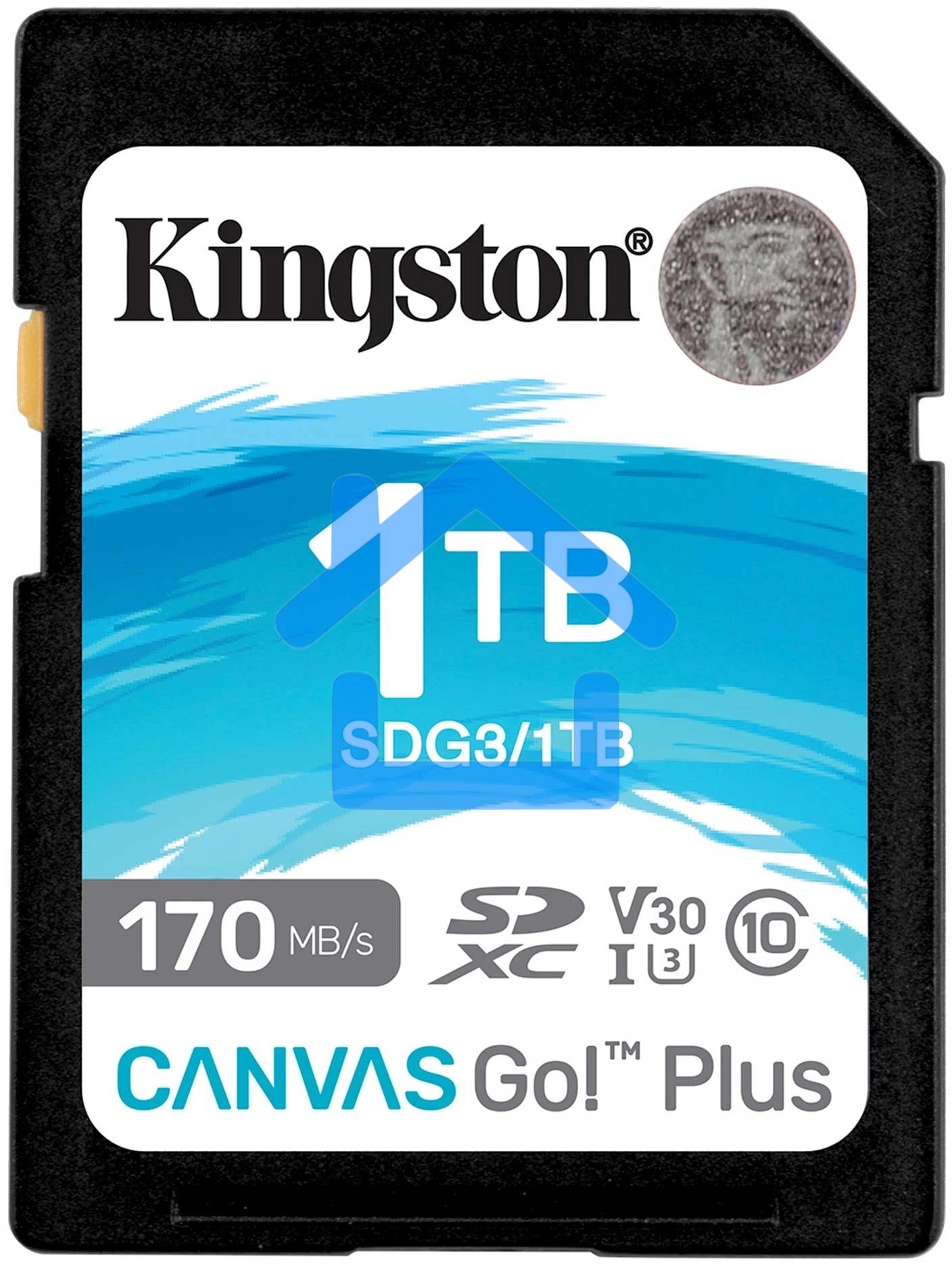 Карта памяти Kingston 1Tb SDXC Canvas Go Plus 170R C10 UHS-I U3 V30/ Kingston 1Tb SDXC Canvas Go Plus 170R C10 UHS-I U3 V30