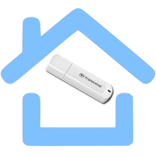 Флешка USB R/W Transcend USB Drive 64 Gb JetFlash 370 TS64GJF370 USB 2.0