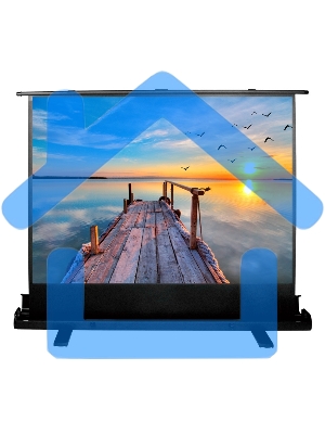 Экран Cactus 113x200см FloorExpert CS-PSFLE-200X113 16:9 напольный рулонный