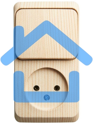 Блок ОП Этюд (1-м розетка без заземления + 1-кл. выкл.) сосна SchE BPA16-204D