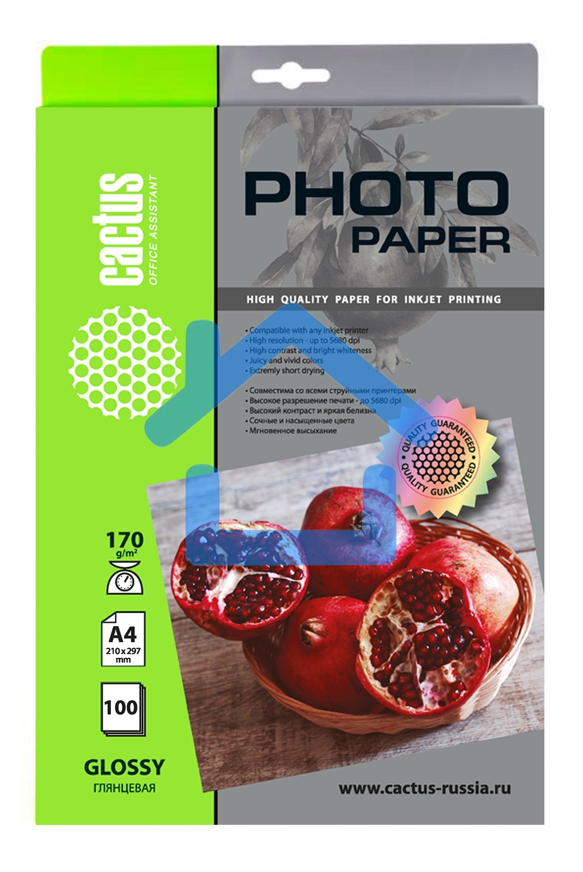 Фотобумага Cactus CS-GA4170100 A4/170г/м2/100л./белый глянцевое для струйной печати