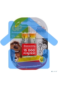 Аккумулятор GP Smart Energy 100AAHCSV AA NiMH 1000mAh (2шт)