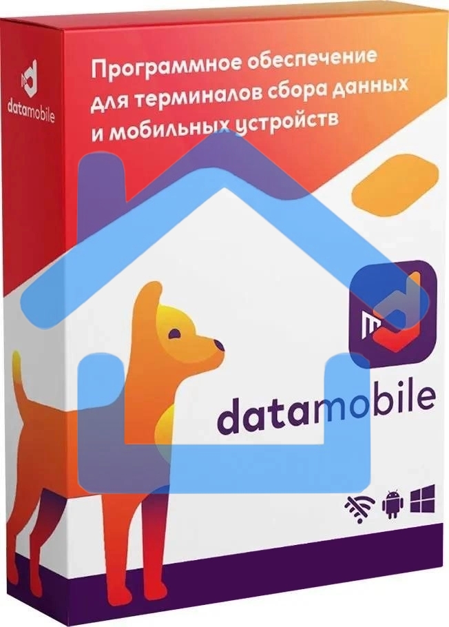 Неискл. право на исп-ие ПО DataMobile версия Online Lite подписка на 12г (DMONLINELITE12M)