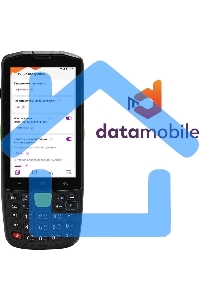 Неискл. право на исп-ие ПО DataMobile версия Online Lite подписка на 12г (DMONLINELITE12M)