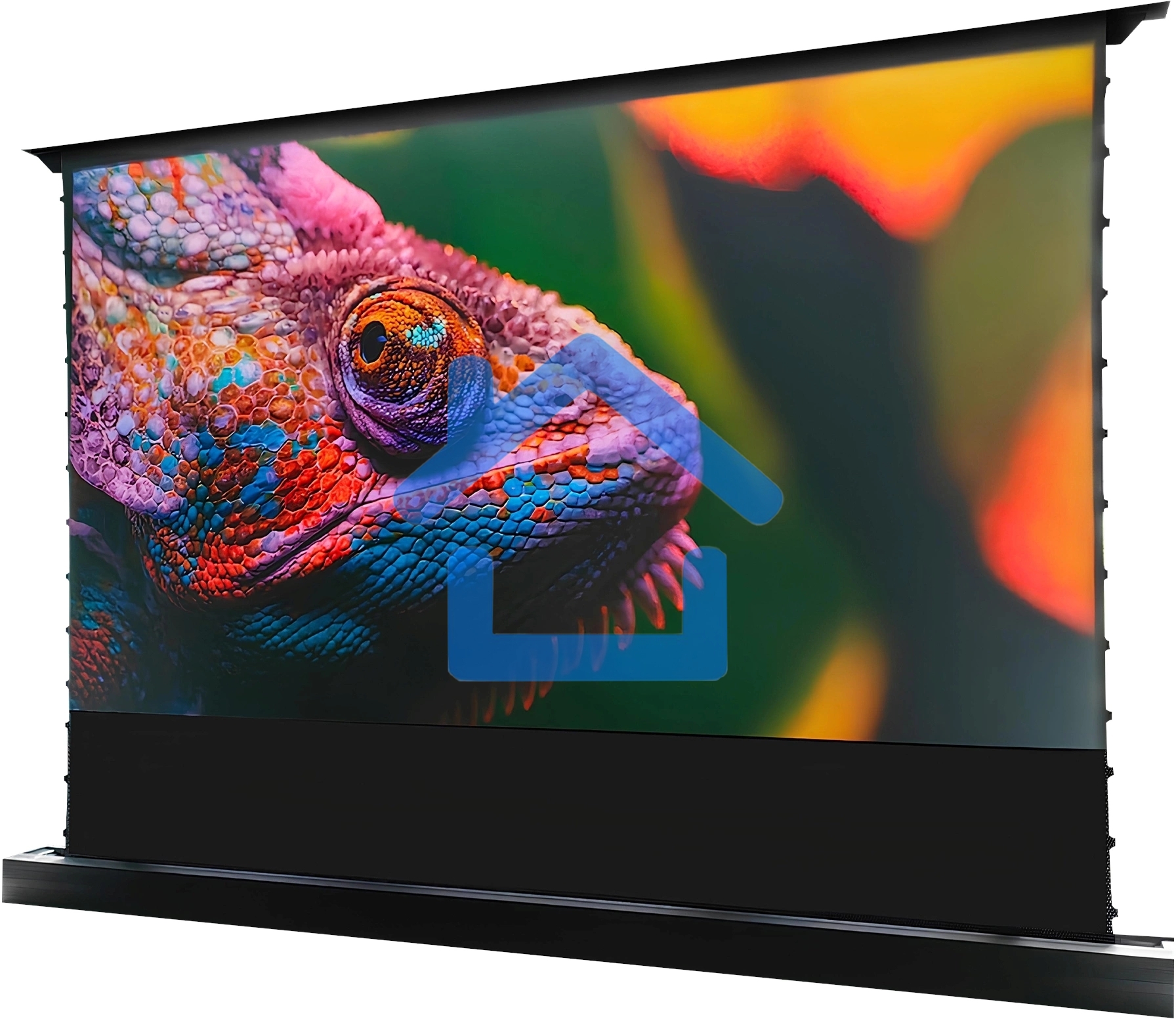 Экран Cactus 148x263см FloorRising CS-PSFRCLR-263X148 16:9 напольный рулонный черный (моторизованный привод)