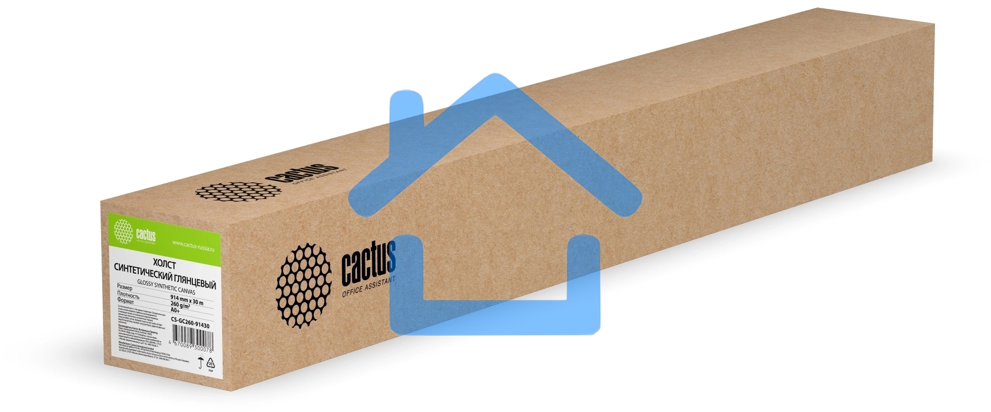 Холст Cactus CS-GC260-91430 36