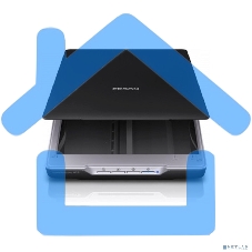 Сканер Epson Perfection V19, планшетный, A4, CIS, 4800x4800 dpi, USB 2.0
