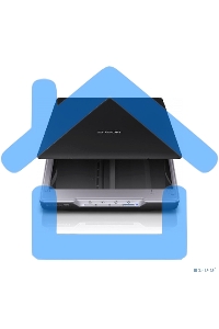 Сканер Epson Perfection V19, планшетный, A4, CIS, 4800x4800 dpi, USB 2.0