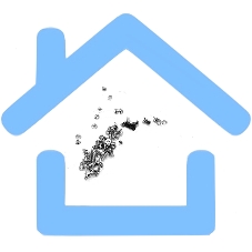 Набор винтов (внутренние) для iPhone 5S