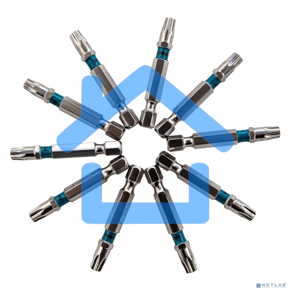 Набор бит TORX 30х50, сталь S2, 10 шт. Gross
