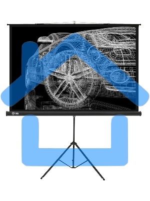 Экран Cactus 124.5x221см Triscreen CS-PST-124x221 16:9 напольный рулонный черный