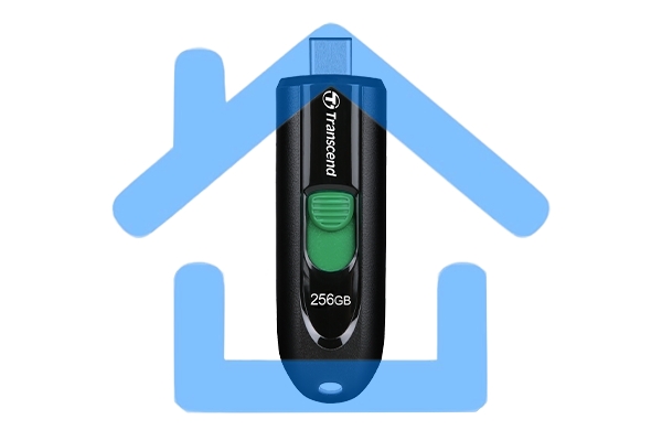 Флешка USB R/W Transcend 256Gb Jetflash Type-C 790С TS256GJF790C USB3.0 черный